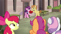 Crusaders observe Sugar Belle and Feather Bangs S7E8