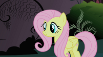Fluttershy after defeating the Cockatrice S1E17