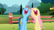 Rainbow Dash and Fluttershy singing in unison S2E7