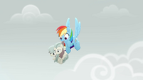 Rainbow Dash saves the Barrel twins MLPRR