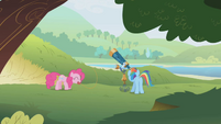 Rainbow and Pinkie watching their quarry S1E5