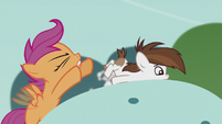 Scootaloo pushes Pipsqueak onto a giant horseshoe S5E18