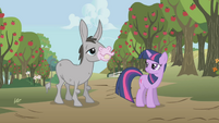 Twilight standing next to a mule S1E04