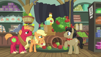 Applejack "I don't think I can get you any" S6E23