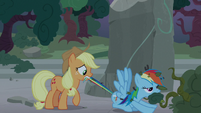 Applejack pulls Rainbow out of the bushes S7E25