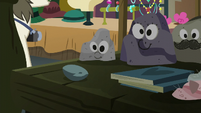 Boulder hanging out with other pet rocks S6E3