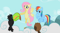 Fluttershy and Rainbow with owl, wasp and toucan S2E07