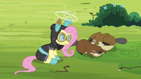 Fluttershy head spinning S3E05