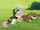 Fluttershy head spinning S3E05.png