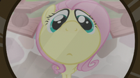 Fluttershy seen through wide-angle lens S7E5