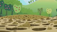Multitude of holes at Sweet Apple Acres S5E3