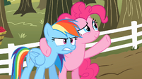 Pinkie Pie 'It was like a moment in time you can never get back' S2E15