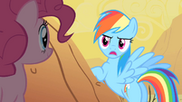 Rainbow Dash "You're going to blow my cover!" S1E21