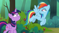 Rainbow Dash amused by Twilight's excitement S8E13