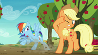 Rainbow Dash stopping in front of Applejack S8E5