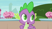 Spike offers to help Coco and Rainbow Stars S7E15