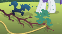 Spruced up branch at Rarity's hooves S1E08