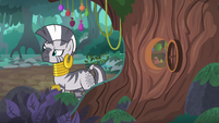 Zecora follows the smell of Spike's molt S8E11