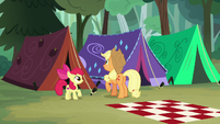 AJ and Apple Bloom finish raising their tent S7E16