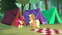 AJ and Apple Bloom finish raising their tent S7E16.png (834 KB)