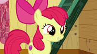 Apple Bloom "she'll wanna know about this" S6E19