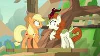 Autumn Blaze "that's what I said!" S8E23