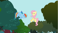 Fluttershy getting hurt S01E10