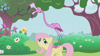 Fluttershy has a pink flamingo on her back S1E03