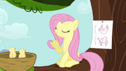 Fluttershy instructing birds S4E04.png