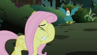 Fluttershy putting hoof over eye S1E17