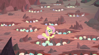 Fluttershy reading to the dragon eggs S9E9