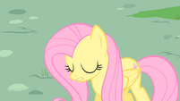 Fluttershy sad S01E22