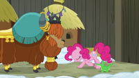 Pinkie Pie bowing to Prince Rutherford S7E11