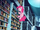 Pinkie Pie checking books S3E1.png
