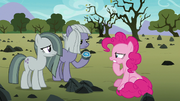 Pinkie trying to understand Limestone's lesson S8E3