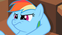 Rainbow Dash is not pleased at what she is hearing.