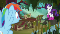 Rainbow Dash looking at Rarity's raft S8E17