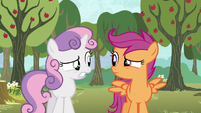 Scootaloo and Sweetie Belle nervous glance S5E4