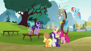 Twilight gathers her friends in the park S5E22