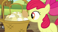 Apple Bloom sets her egg down S5E17