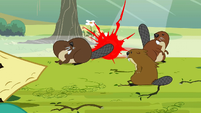 Beavers S3E5