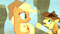 Braeburn shouting "look out!" S5E6