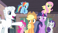 "This is Applejack, Fluttershy, Pinkie Pie, Rarity, Rainbow Dash..."