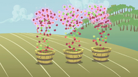 Floating apples falling into buckets S1E04