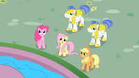 Fluttershy "come down from there" S01E22