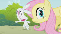 Fluttershy Angel smear S1E07