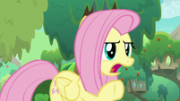 Fluttershy arguing -yes, it is!- S8E23