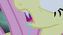 Fluttershy growing a fang S4E07