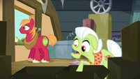 Granny Smith tries to search for the ribbon S5E17