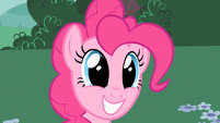 Pinkie Pie being asked S2E13